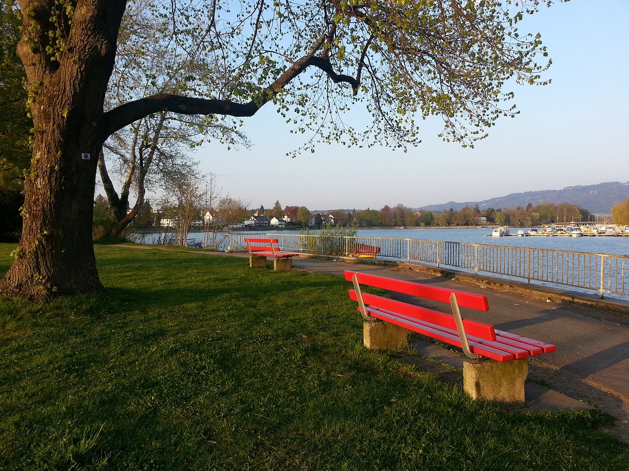 意大利杯16强综述：AC米兰从容应战内战称雄，博洛尼亚双线作战疲态尽显